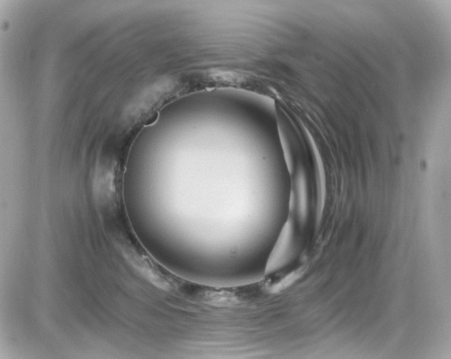X0000082200424200701191447