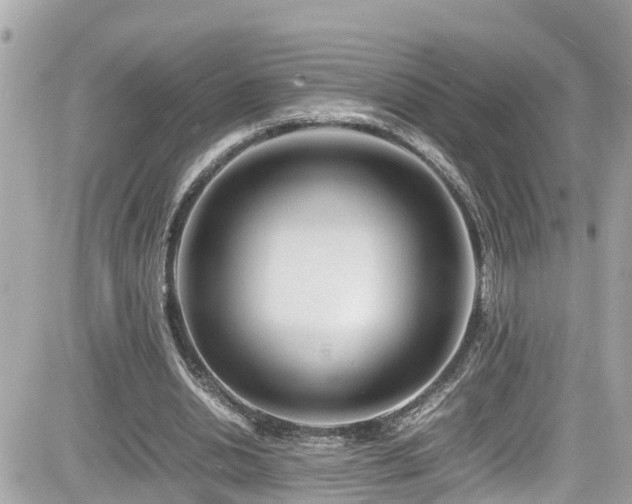 X0000082200438200701191446