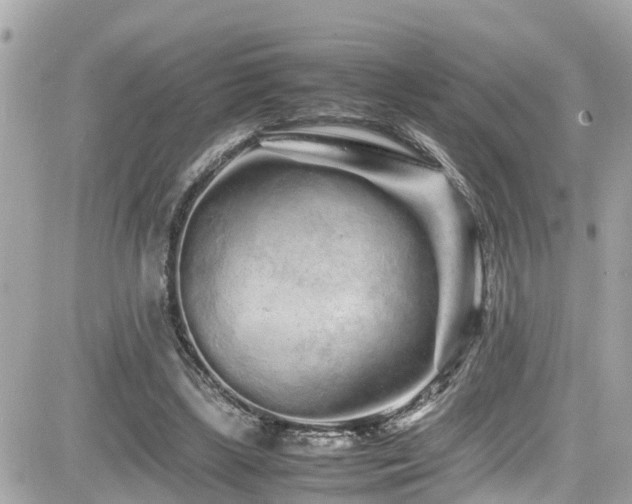X0000082200443200701191446