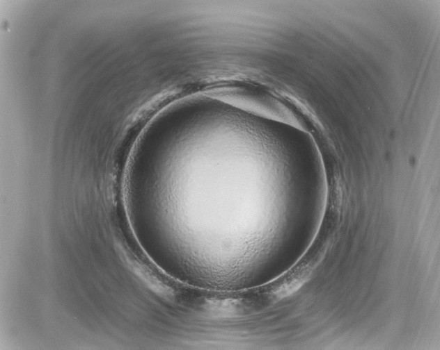 X0000082200450200701191446