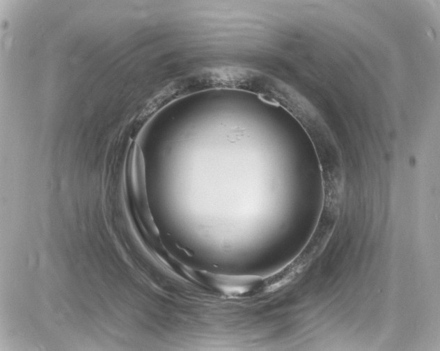 X0000082200456200701191446