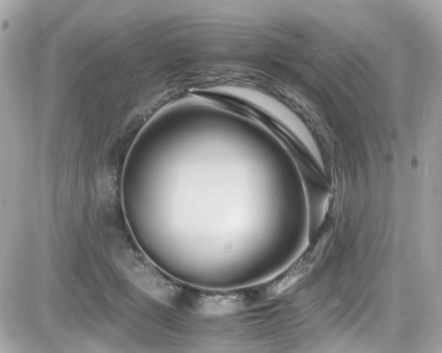 X0000082200461200701191446