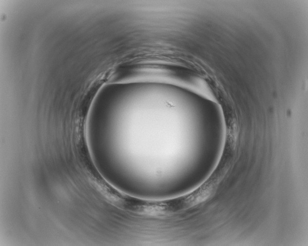 X0000082200462200701191446