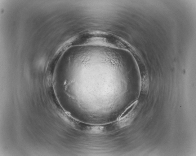 X0000082200474200701191446