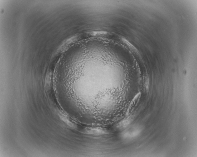 X0000082200475200701191447
