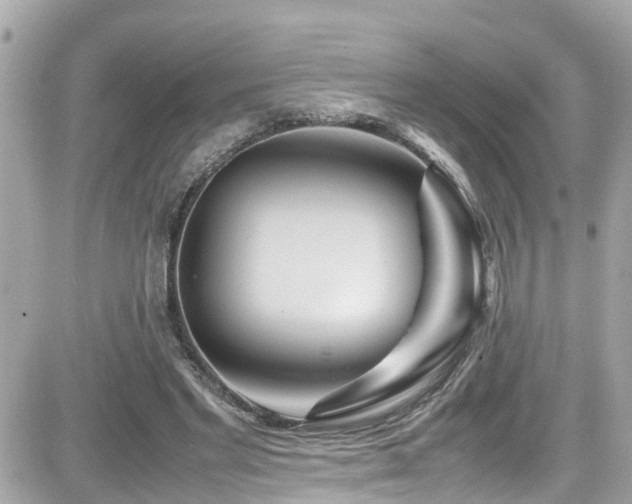 X0000082200493200701191446