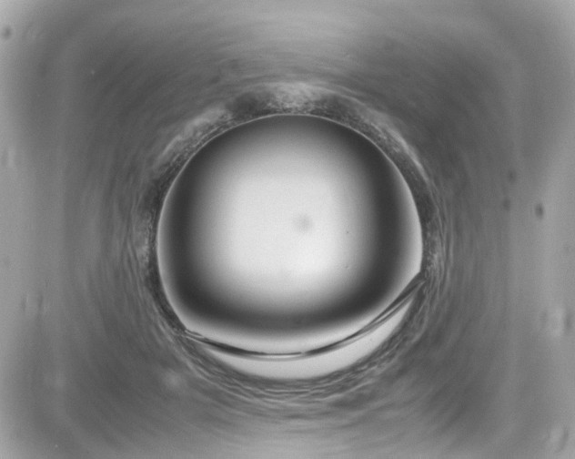 X0000082200505200701191445