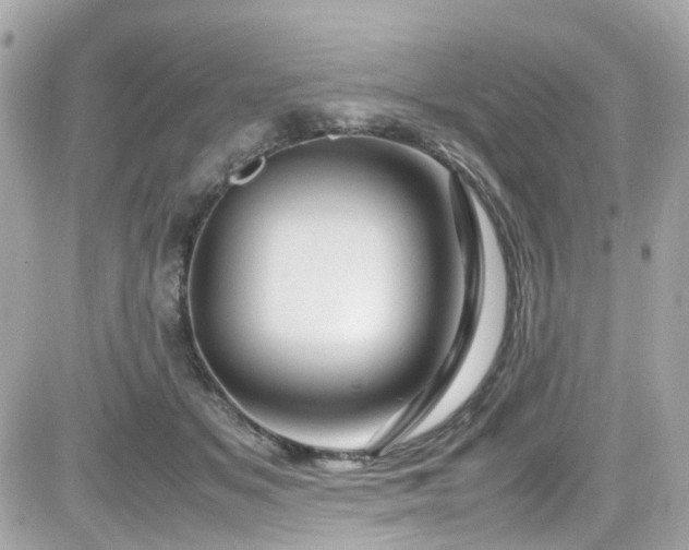 X0000082200509200701191445
