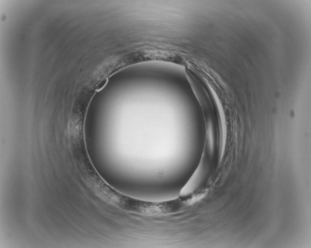 X0000082200513200701191445