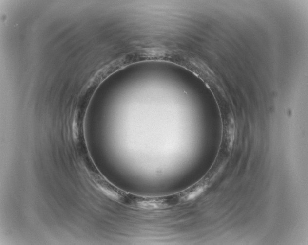 X0000082200516200701191445