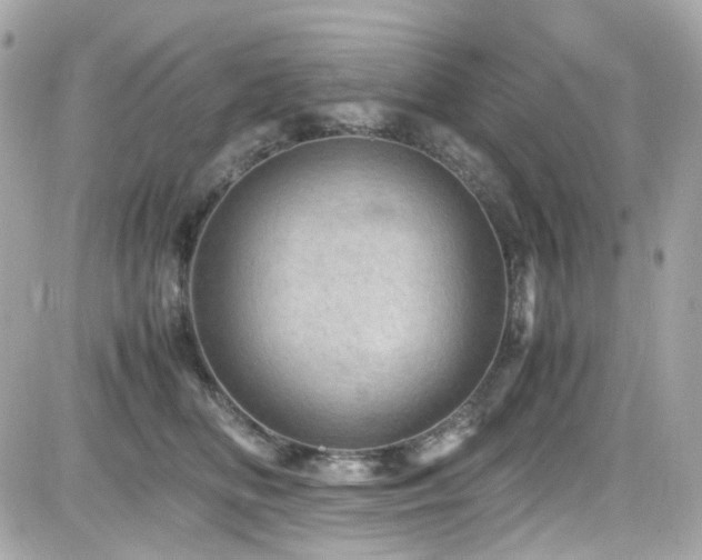 X0000082200518200701191445