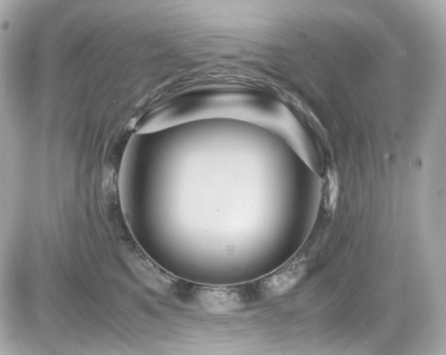 X0000082200521200701191445