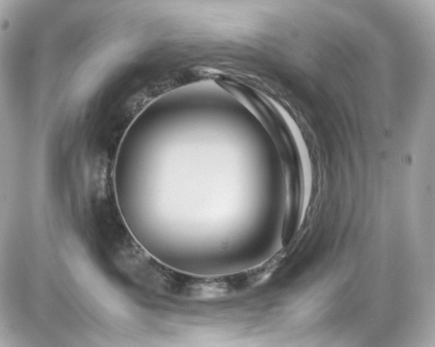 X0000082200525200701191445