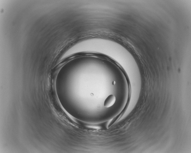 X0000082200546200701191445