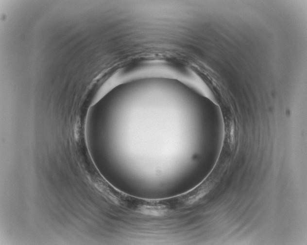 X0000082200556200701191445