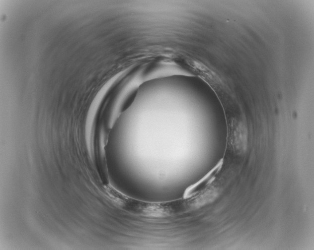 X0000082200562200701191445
