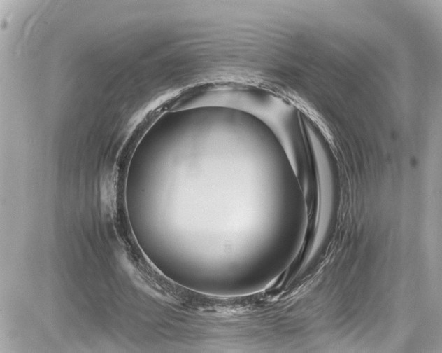 X0000082200580200701191444