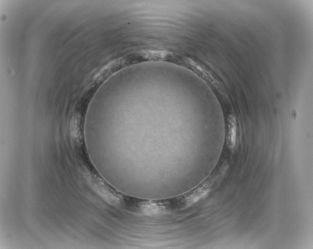 X0000082200616200701191444