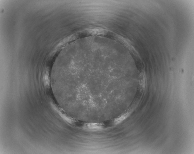 X0000082200622200701191444