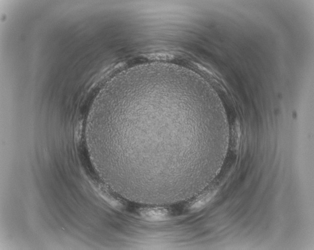 X0000082200652200701191443