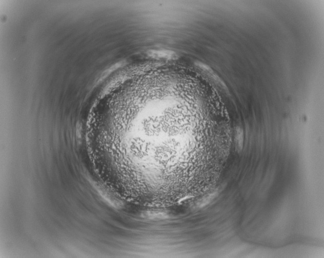 X0000082200668200701191443