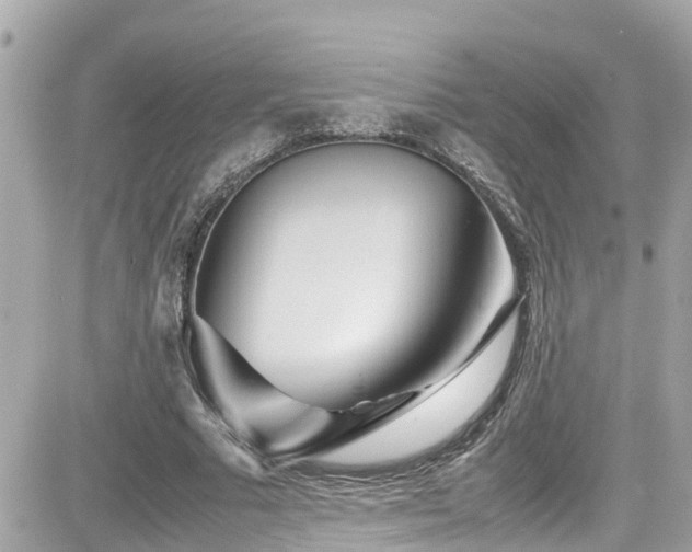X0000082200681200701191443