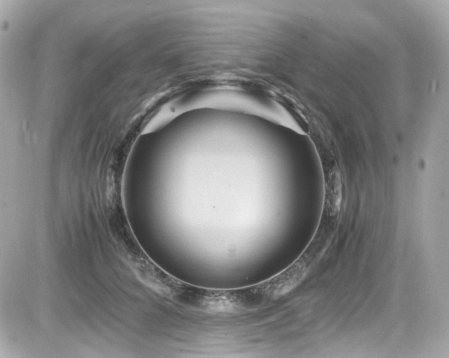 X0000082200704200701191442