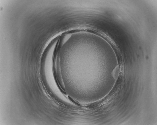 X0000082200724200701191441