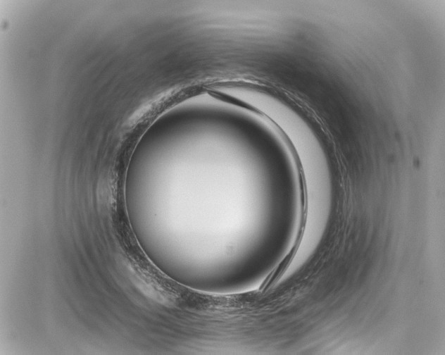 X0000082200732200701191441