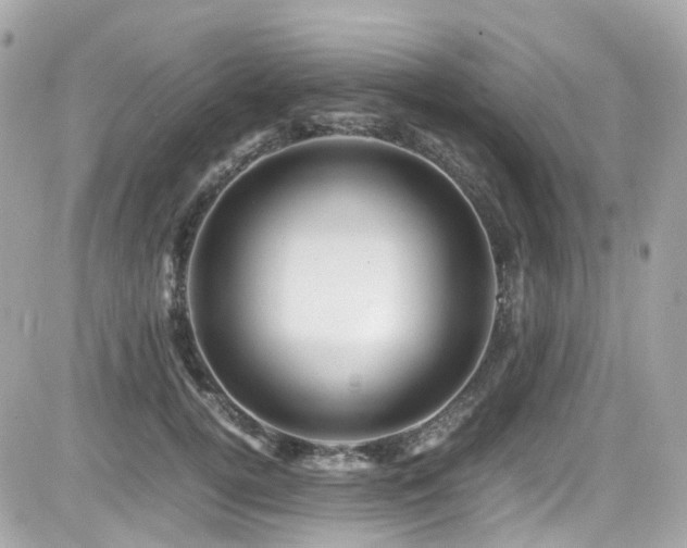 X0000082200752200701191442
