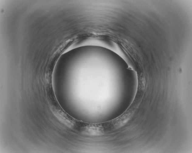 X0000082200756200701191442
