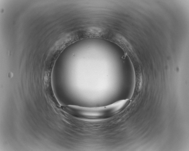 X0000082200759200701191442