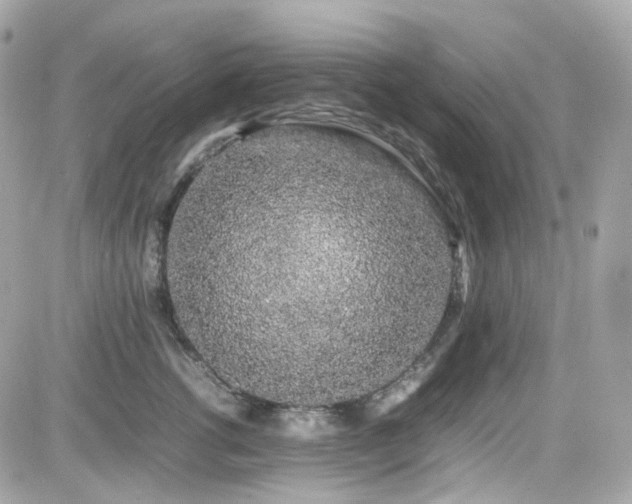 X0000082200762200701191442