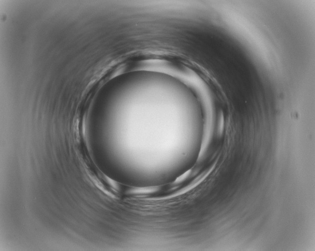 X0000082200766200701191442