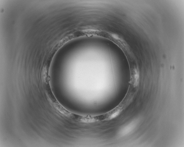 X0000082200767200701191442
