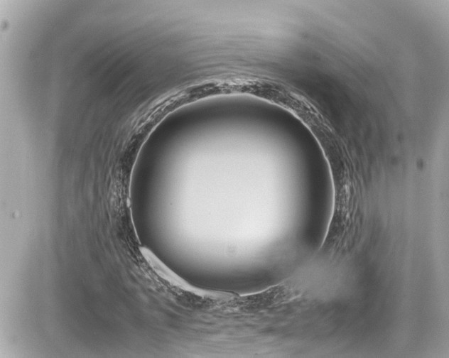 X0000082200773200701191441