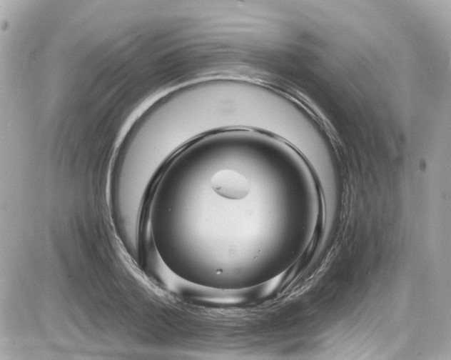 X0000082200788200701191441