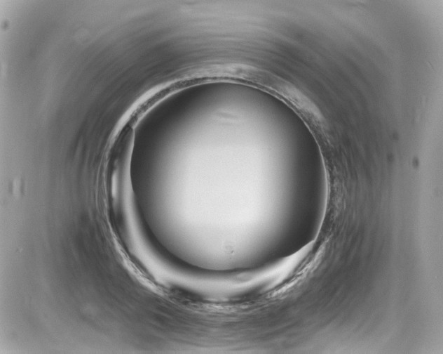 X0000082200792200701191441