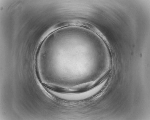 X0000082200803200701191441