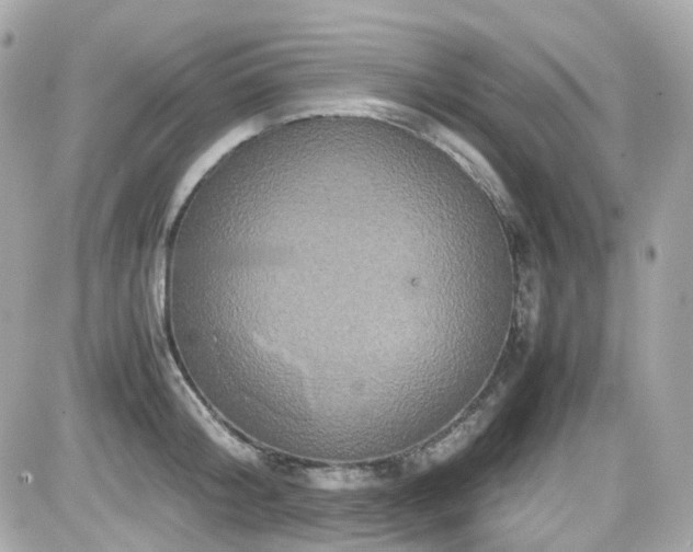 X0000082200804200701191441