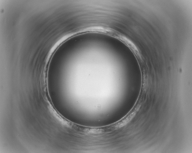 X0000082200808200701191440