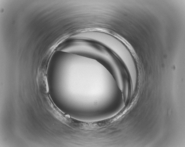X0000082200809200701191440