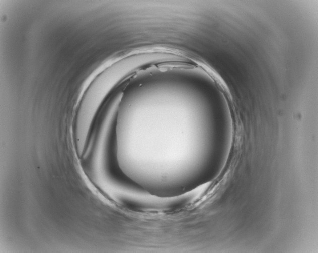 X0000082200813200701191440