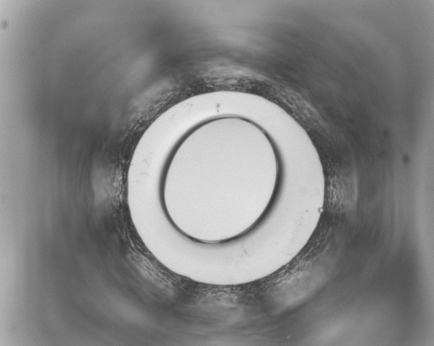 X0000082200820200701191440