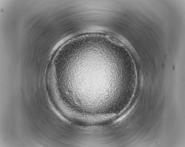 X0000082200842200701191440