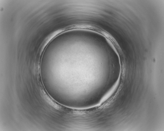 X0000082200852200701191440