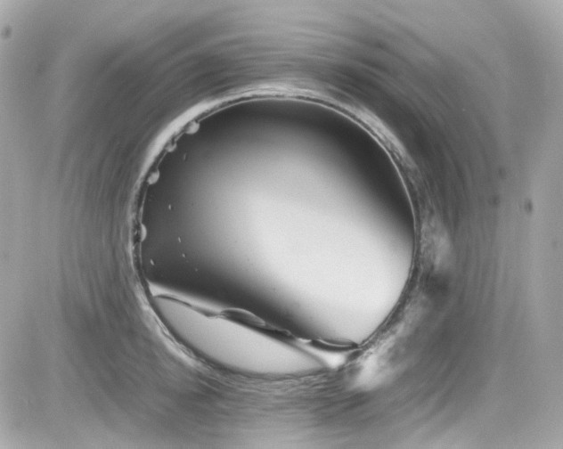 X0000082200854200701191440