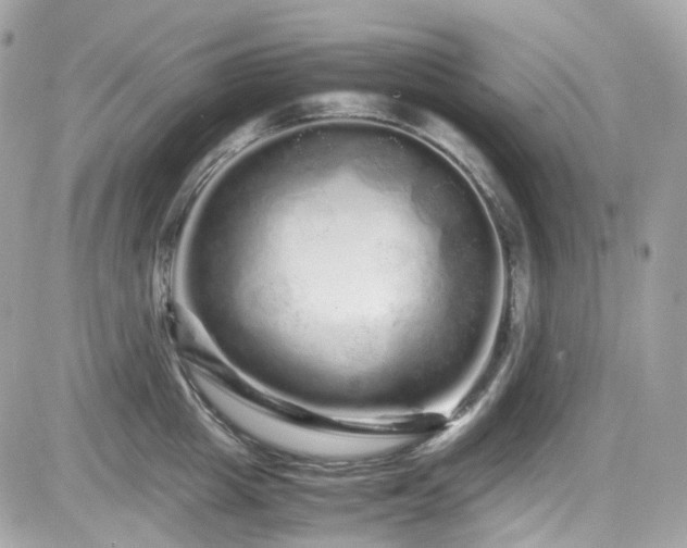 X0000082200857200701191440