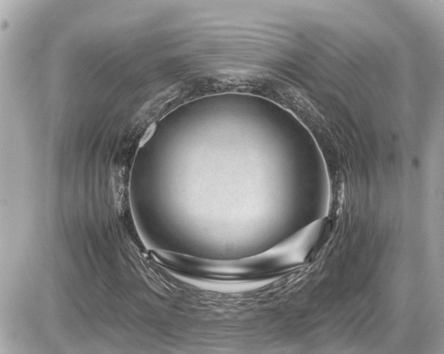 X0000082200868200701191440