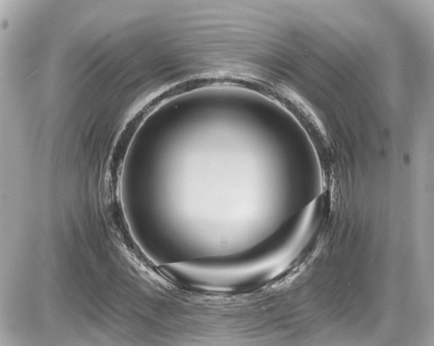 X0000082200876200701191439